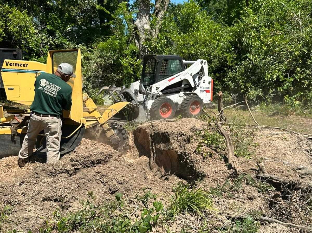 El Costeño Tree Service LLC